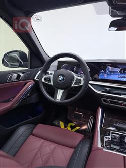 بي ام دبليو X6